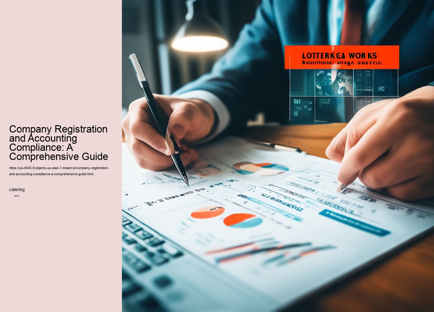 Company Registration and Accounting Compliance: A Comprehensive Guide